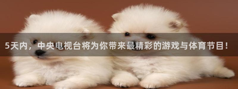 咪咕直播在线直播观看：5天内，中央电视台将为你带来最精彩的游戏与体育节目！