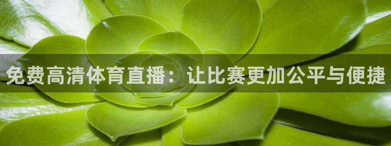 咪咕直播免费观看：免费高清体育直播：让比赛更加公平与便捷