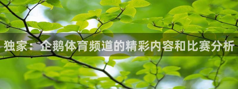 咪咕足球直播免费观看：独家：企鹅体育频道的精彩内容和比赛分析