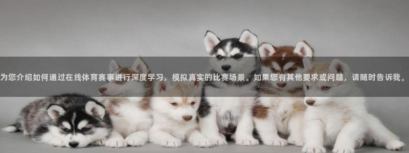 咪咕体育官网：为您介绍如何通过在线体育赛事进行深度学习，模拟真实的比赛场景。如果您有其他要求或问题，请随时告诉我。