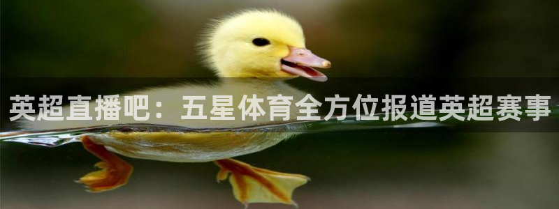 咪咕体育在线观看：英超直播吧：五星体育全方位报道英超赛事