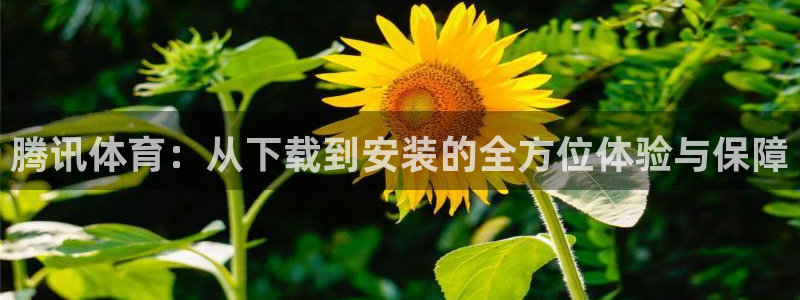咪咕视频在线观看：腾讯体育：从下载到安装的全方位体验与保障