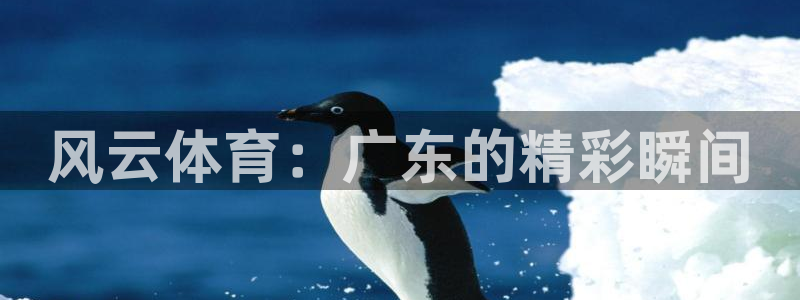 咪咕视频体育直播.新网页.org：风云体育：广东的精彩瞬间