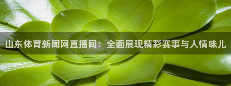 咪咕篮球赛现场直播：山东体育新闻网直播间：全面展现精彩赛事与人情味儿