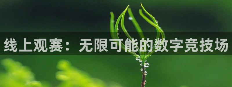 咪咕直播免费观看：线上观赛：无限可能的数字竞技场