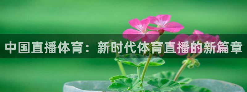 咪咕体育直播 免费：中国直播体育：新时代体育直播的新篇章