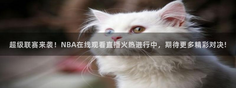 下载咪咕视频体育频道直播：超级联赛来袭！NBA在线观看直播火热进行中，期待更多精彩对决!